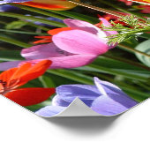 Garden Beauty Poster (Ecke)