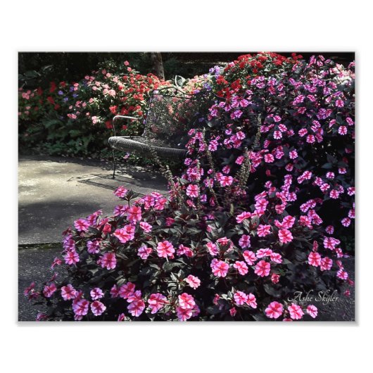 Garden Bench Fotodruck (Vorne)