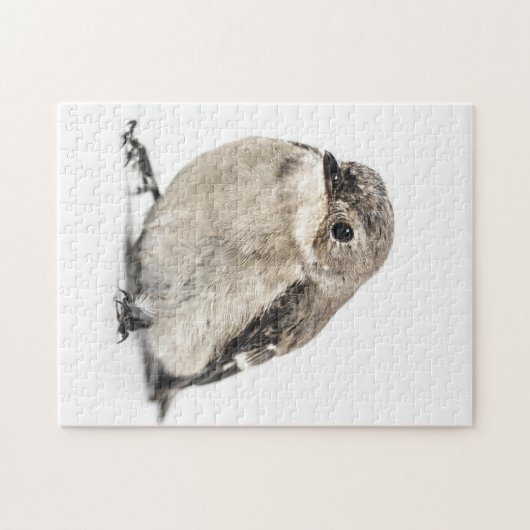 Garden Bird Puzzle (Horizontal)