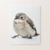 Garden Bird Puzzle (Vertikal)