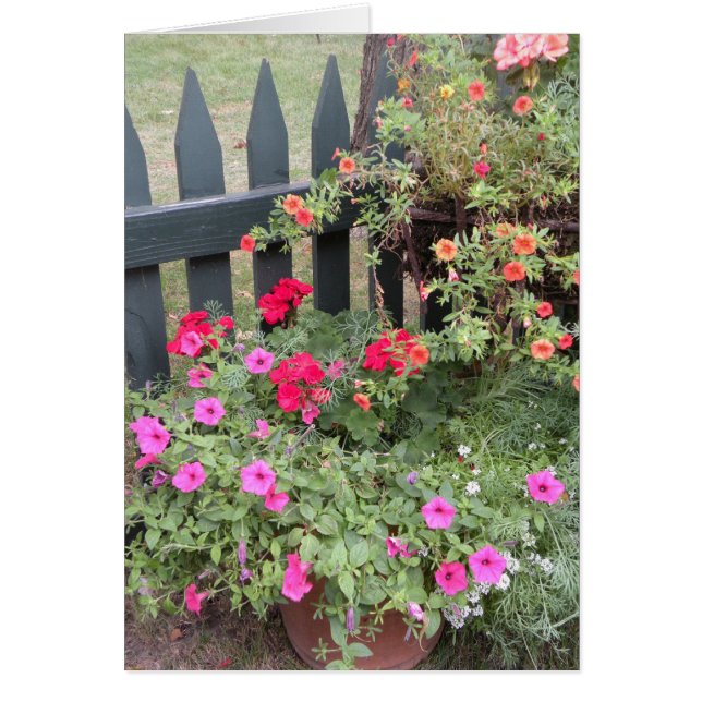 Garden Blume (Vorne)