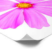 Garden Blume-9-Plakat Poster (Ecke)