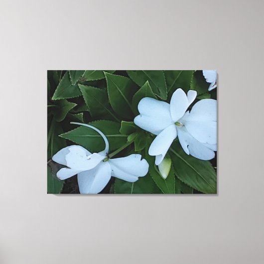 Garden Blume Canvas Print Leinwanddruck (Vorderseite)