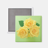Garden Bounty 3 Magnet (Vorderseite/Rückseite)