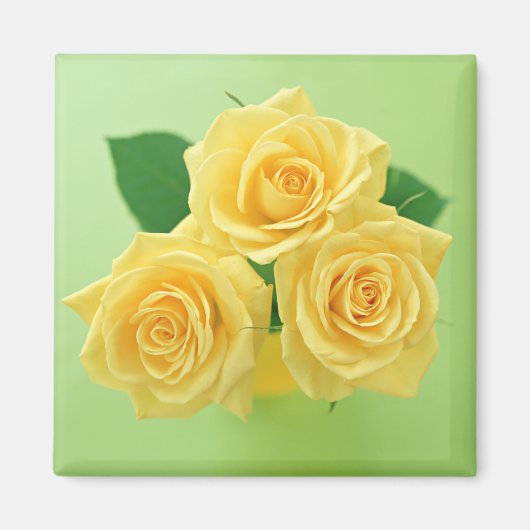 Garden Bounty 3 Magnet (Vorne)