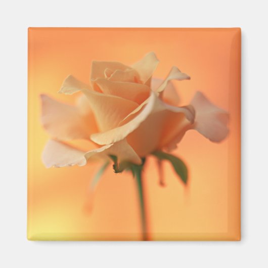 Garden Bounty 5 Magnet (Vorne)