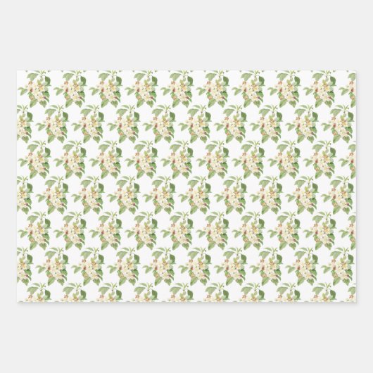 Garden Bouquets und Vögel Geschenkpapier Set (Vorderseite 2)