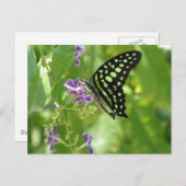 Garden Butterfly Postcard Postkarte (Vorne/Hinten)
