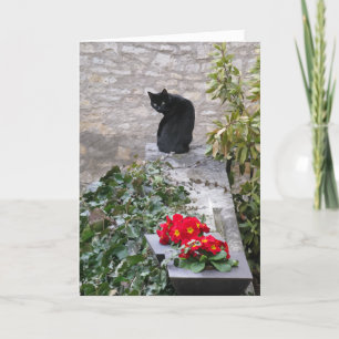 Garden Cat Birthday Karte