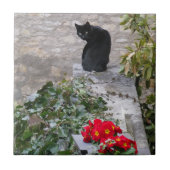 Garden Cat Fliese (Vorderseite)