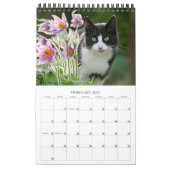 Garden Cats - klein Kalender (Feb 2027)