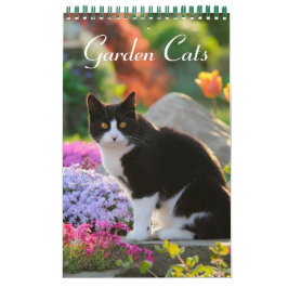 Garden Cats - klein Kalender
