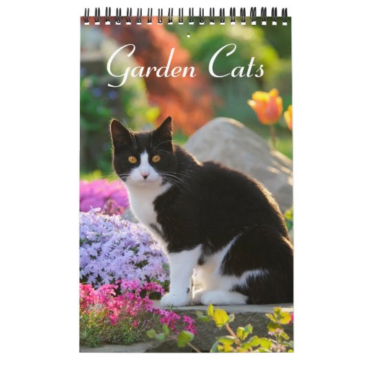 Garden Cats - klein Kalender (Titelbild)