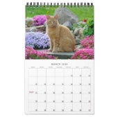 Garden Cats - klein Kalender (Mär 2018)