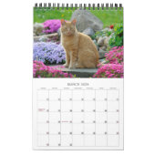 Garden Cats - klein Kalender (Mär 2026)