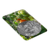 Garden Cherry Tomaten Fügen Sie Ihr Foto Magnet (Rechte Seite)