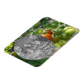 Garden Cherry Tomaten Fügen Sie Ihr Foto Magnet (Linke Seite)