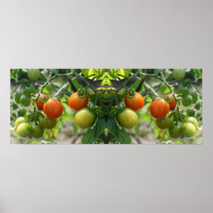Garden Cherry Tomates Mirror Abstrakt Poster