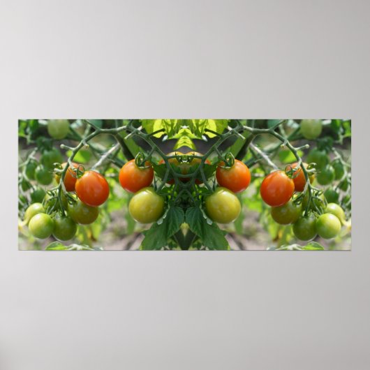 Garden Cherry Tomates Mirror Abstrakt Poster (Vorne)