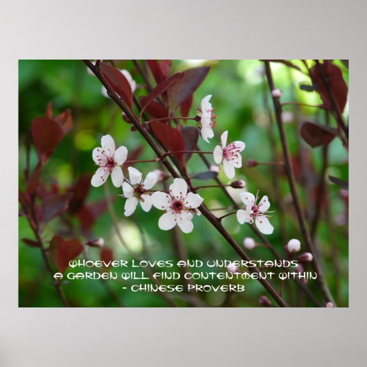 Garden Contentment-Chinese Sprichwort Poster (Vorne)