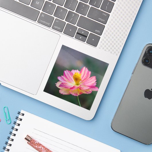 Garden Cosmos Blume Aufkleber (Laptop mit iPhone)
