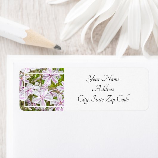 Garden Delight (Insitu)