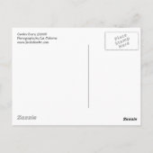 Garden Door ©2008 Postkarte (Rückseite)