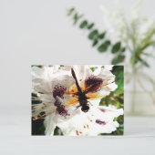 Garden Dragonfly Postkarte (Stehend Vorderseite)