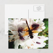 Garden Dragonfly Postkarte (Vorne/Hinten)