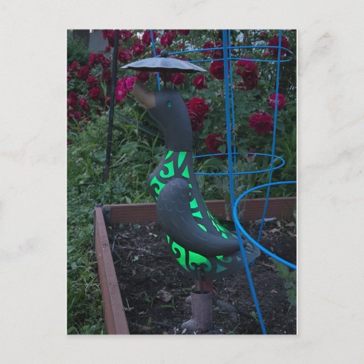 Garden Duck Postkarte (Vorderseite)