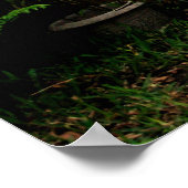 Garden Fence Poster (Ecke)