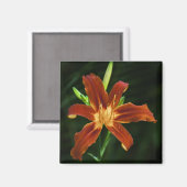 Garden Flame Magnet (Vorderseite/Rückseite)