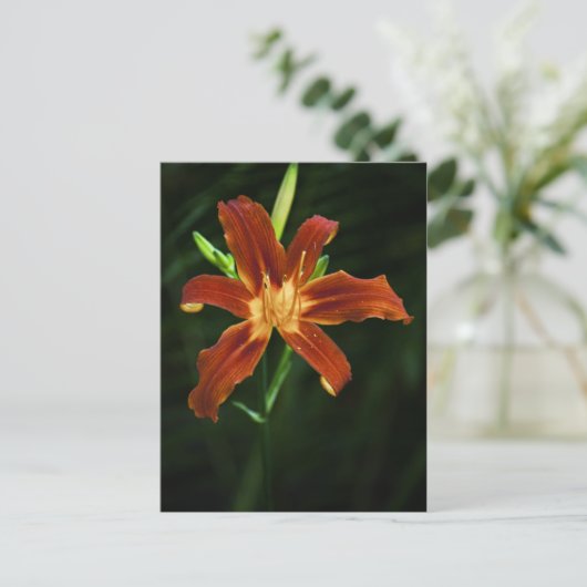Garden Flame Postcard Postkarte (Stehend Vorderseite)