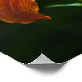 Garden Flame Print Poster (Ecke)