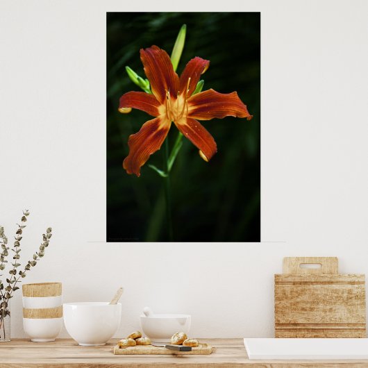 Garden Flame Print Poster (Küche)