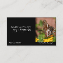 Garden Fotografy Butterfly Wings Dog