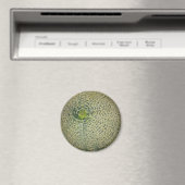 Garden Fresh Cantaloupe Magnet (In Situ (Geschirrspüler))