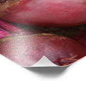 Garden Frische Rüben Fotodruck (Ecke)