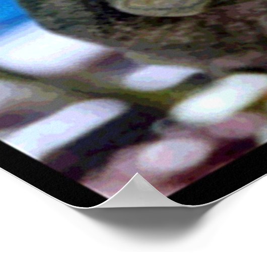 Garden Frog Art Poster (Ecke)