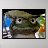 Garden Frog Art Poster (Vorne)