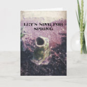 Garden Frog Karte (Vorderseite)