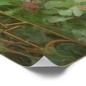 Garden Gate and Wisteria Poster (Ecke)