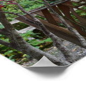 Garden Gazebo und Red Maple Blätter Poster (Ecke)