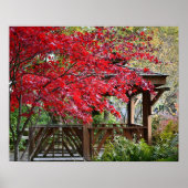 Garden Gazebo und Red Maple Blätter Poster (Vorne)