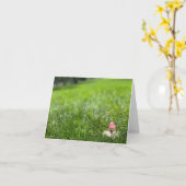 Garden Gnome pink hat Grußkarte Leere Innenseite Karte (Gelbe Blume)