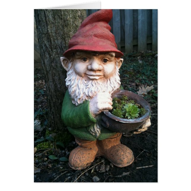 Garden Gnomes (Vorne)