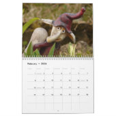 Garden Gnomes 2026 Kalender (Feb 2026)