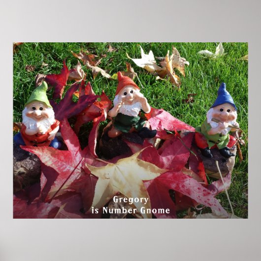 Garden Gnomes Sie sind Nummer gewinnt Name Fall hi Poster (Vorne)