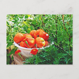 Garden Goodies Postkarte