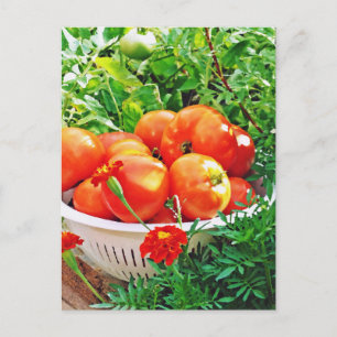 Garden Goodies Postkarte